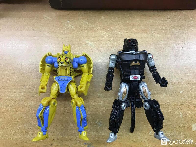 MORE Transformers Agent Ravage Images Cheetor Compared  (38 of 67)